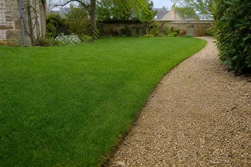 Pelouse jeune et dense quelques semaines après un engazonnement, bordure nette le long d'une allée, dans un jardin de l'Orne sous ciel doux.