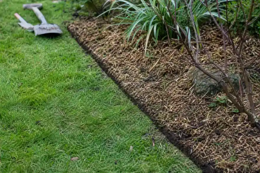 Détail d'une bordure de massif au cordeau : ligne de coupe nette entre la pelouse et la terre de plantation, paillage frais issu du broyage, quelques outils posés hors champ.