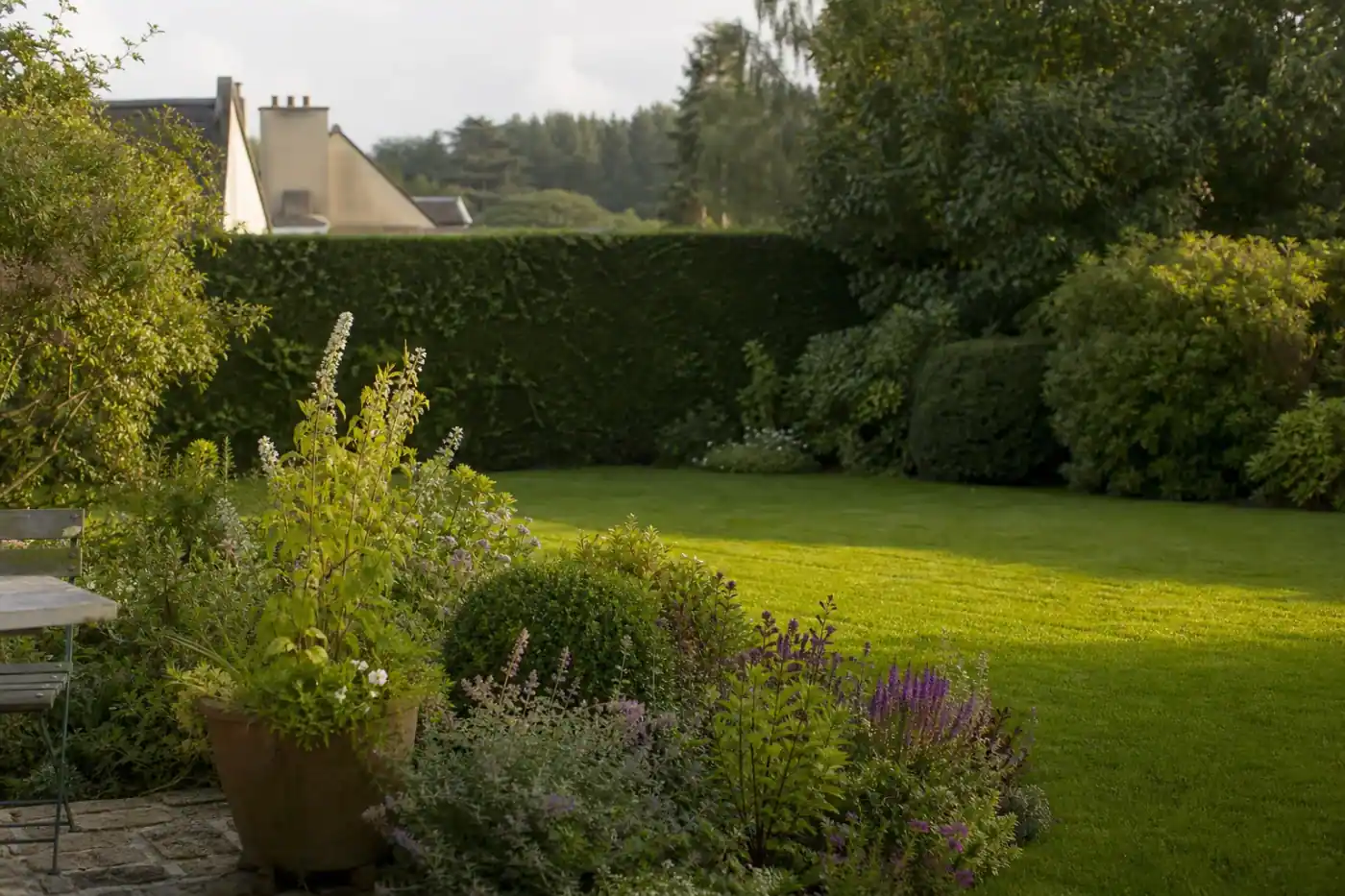 Jardin de particulier alençonnais vu depuis la terrasse : pelouse dense fraîchement tondue, haie de charmille taillée net, massif fleuri de vivaces au premier plan, lumière rasante dorée, aucune personne visible.