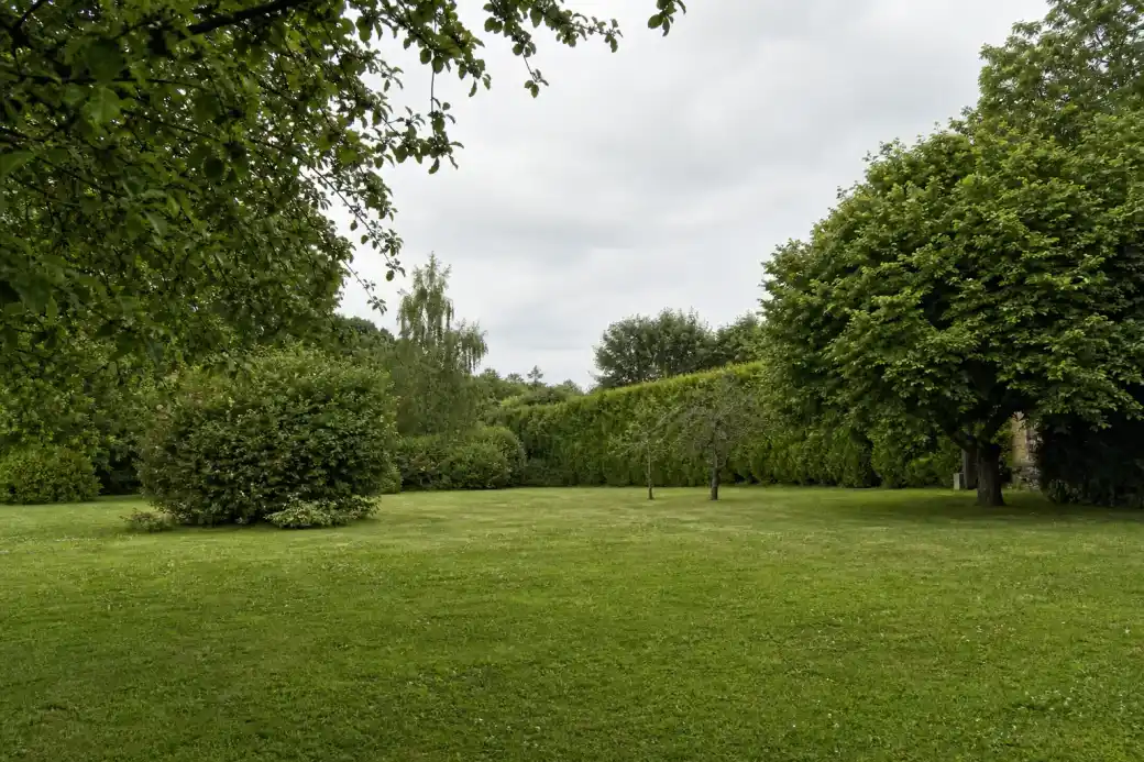 Grand jardin de campagne à Valframbert bordé de haies bocagères denses, pelouse entretenue et arbres de limite taillés, ambiance verte et humide du bocage normand.