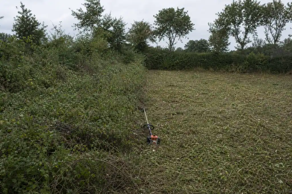 Terrain de fond de parcelle à moitié débroussaillé dans la campagne alençonnaise : moitié gauche encore en friche de ronces, moitié droite fauchée net, débroussailleuse posée sur la ligne de partage, haie de bocage et lumière d'automne humide.