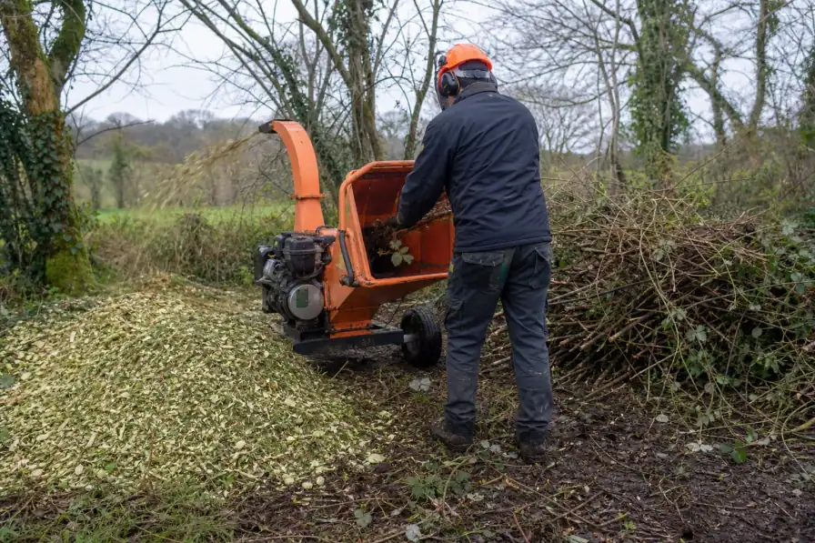 Broyeur de végétaux en action en bord de terrain, copeaux frais en tas, branchages de ronces en attente, sol argilo-limoneux visible.